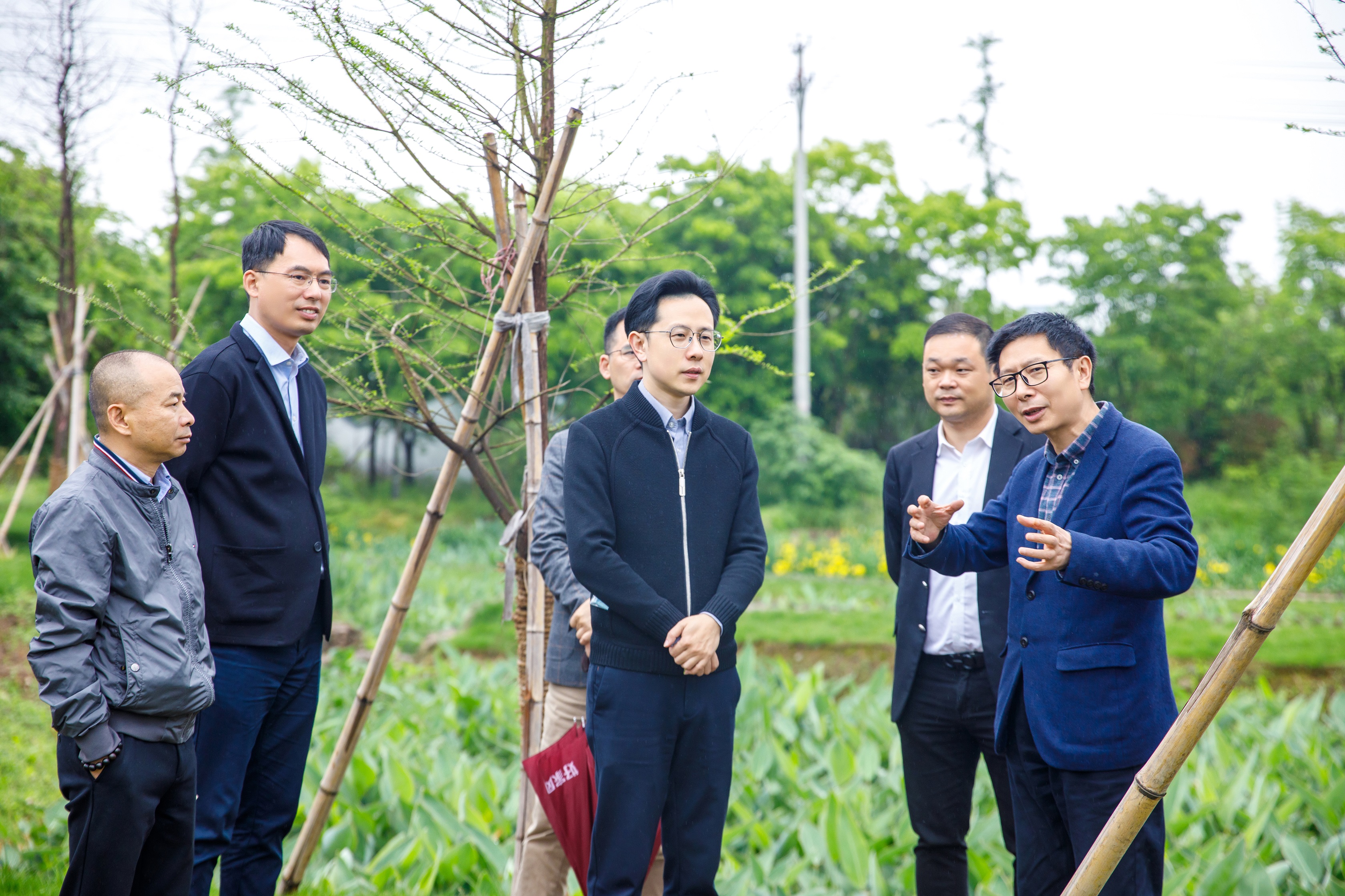 浙江省建设厅村镇建设处处长吴毅峰率队来我司农污项目开展工作督导